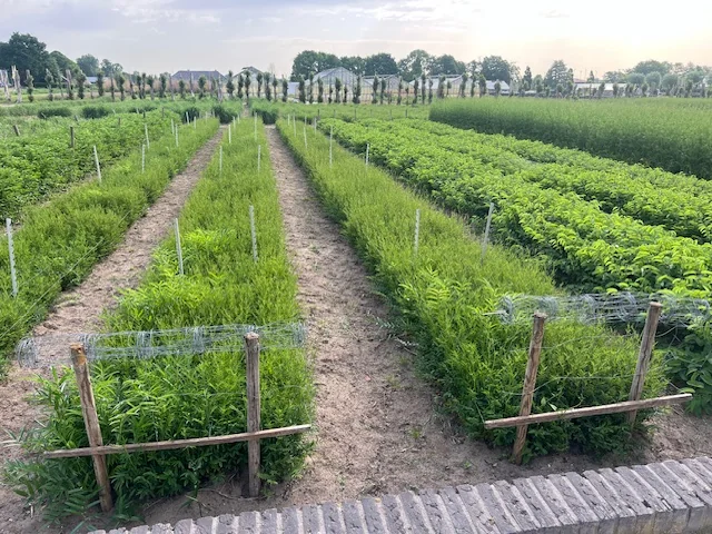 Activiteiten op de boerderij