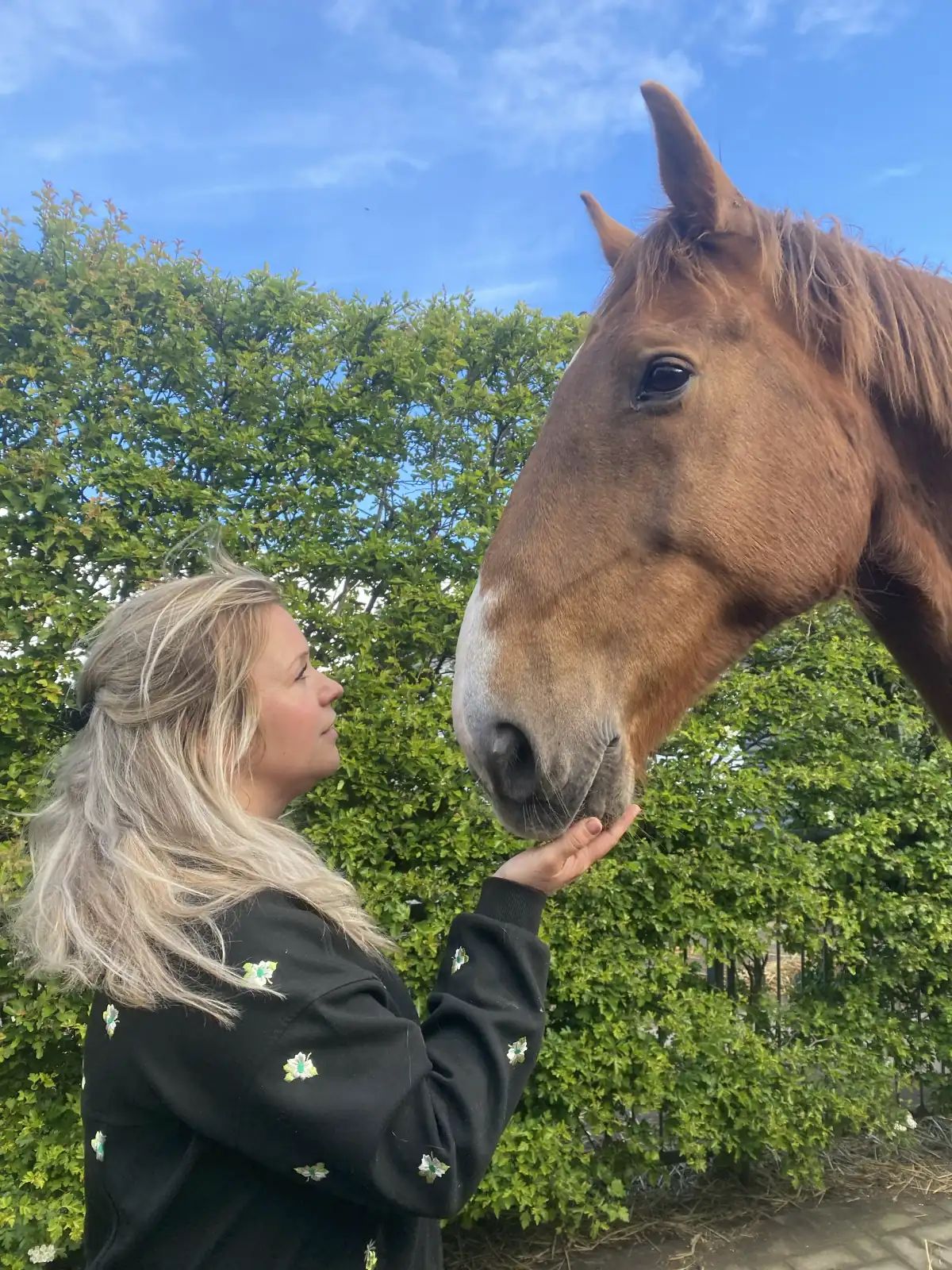 Coaching met behulp van paarden
