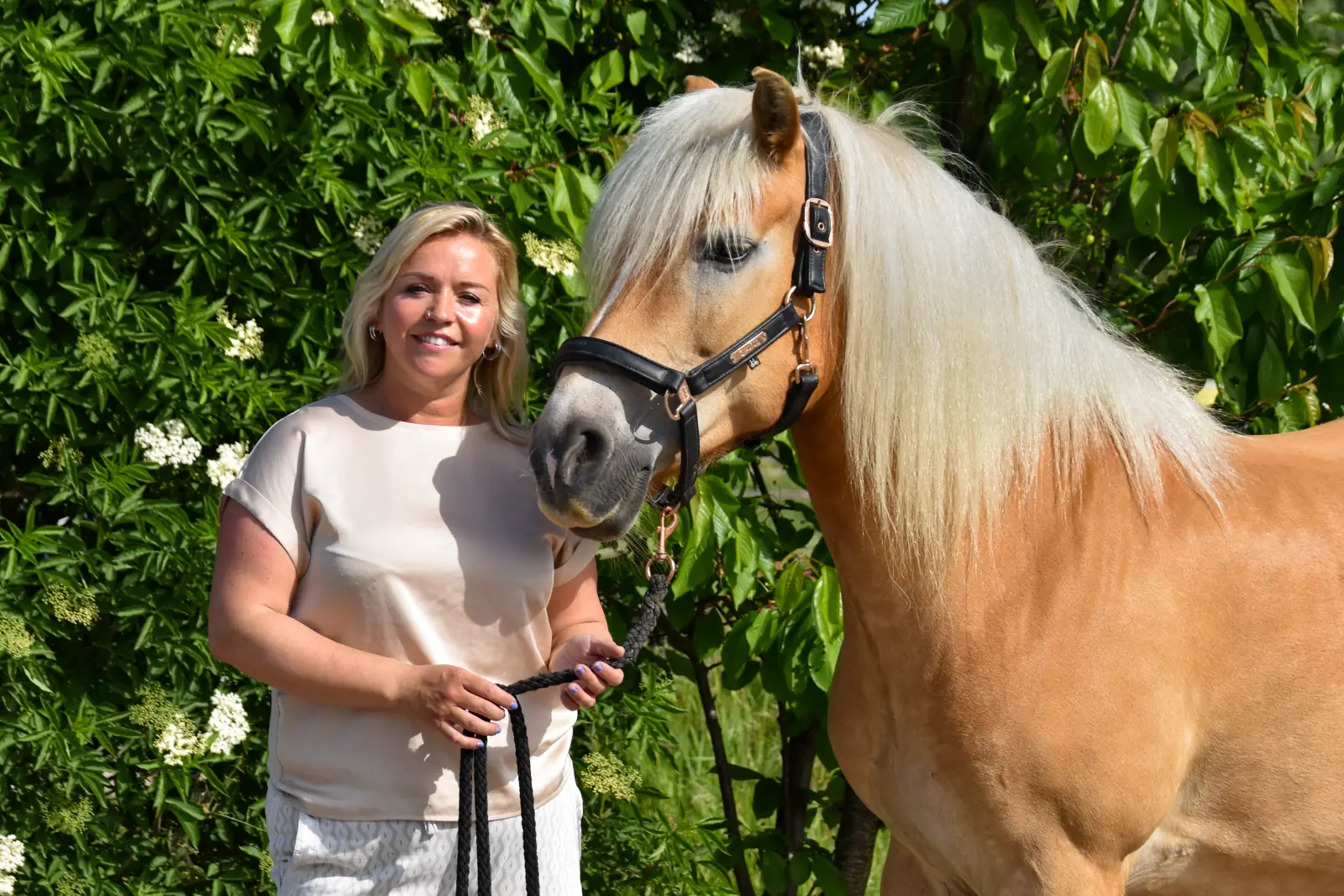 Sheila en haar haflinger